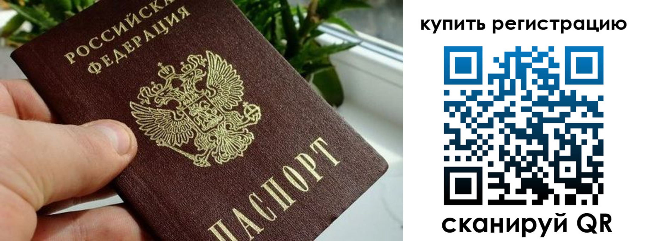 прописка гарантия в Кимовске